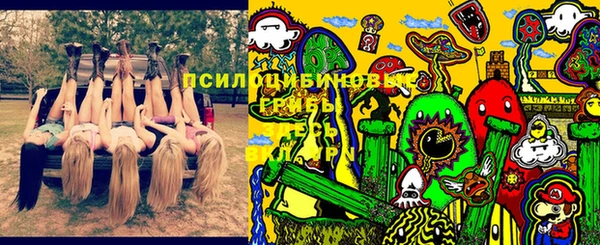 гидропоника Балахна