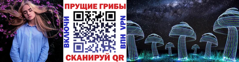 Псилоцибиновые грибы Psilocybine cubensis  Пятигорск 
