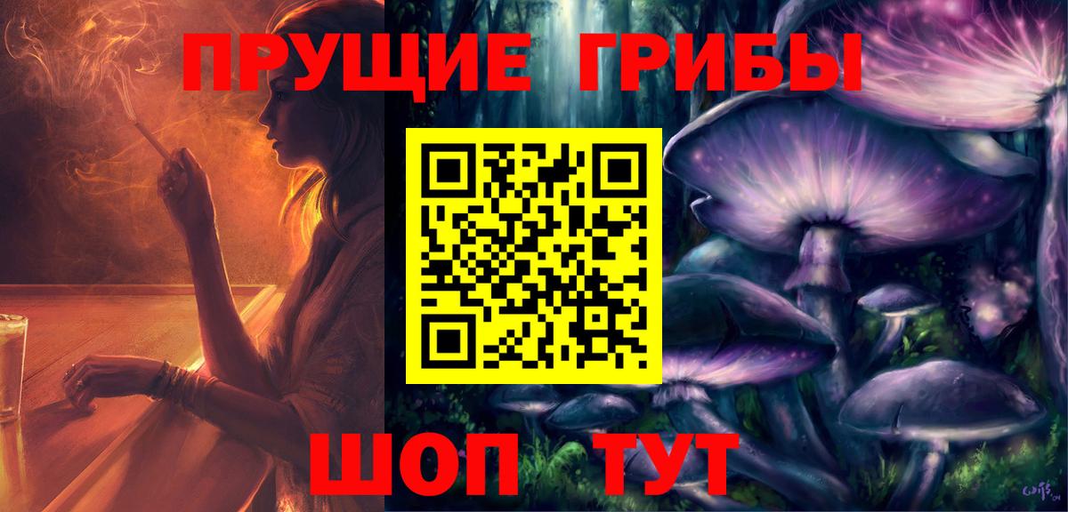 Галлюциногенные грибы GOLDEN TEACHER  Вход с VPN  Пятигорск 