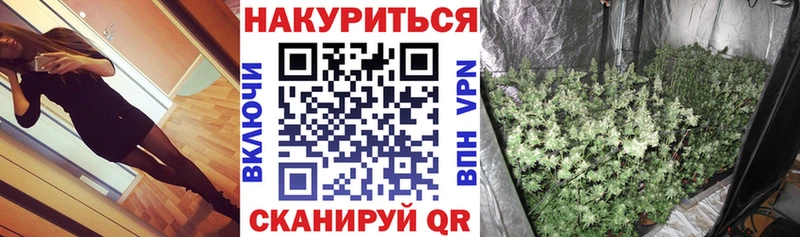 Канабис VHQ где можно купить наркотик darknet формула Пятигорск