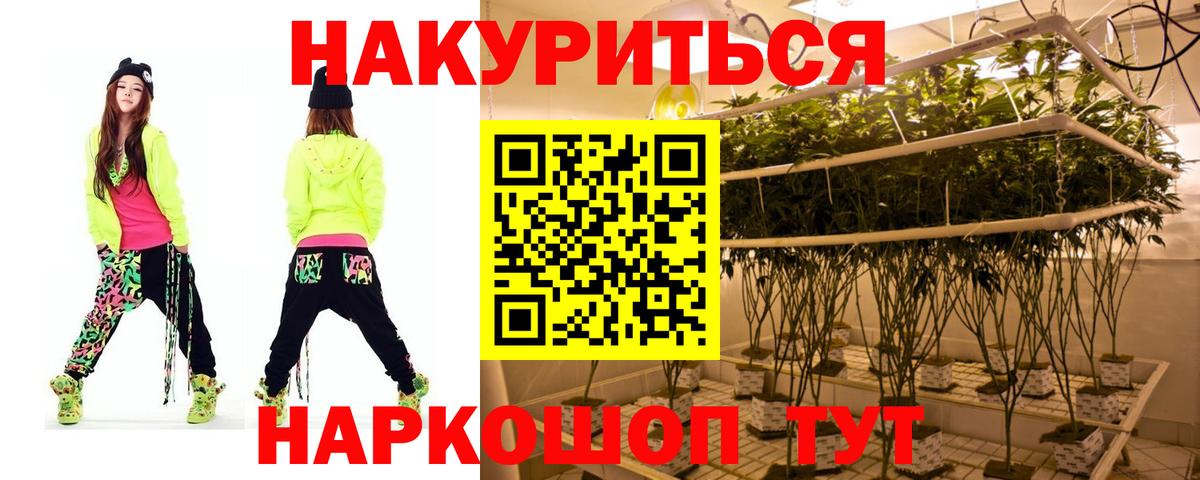 Бошки Шишки сатива Пятигорск